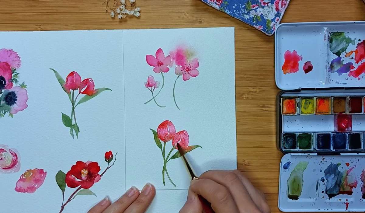 tulipe